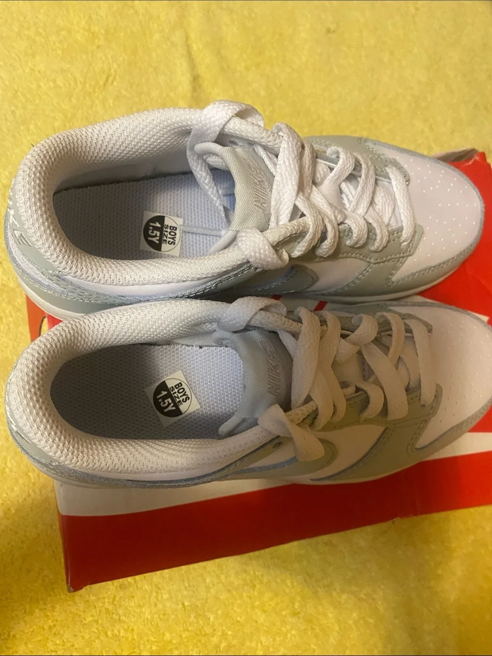 Nike youth low